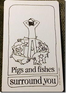 pigs and fishes
